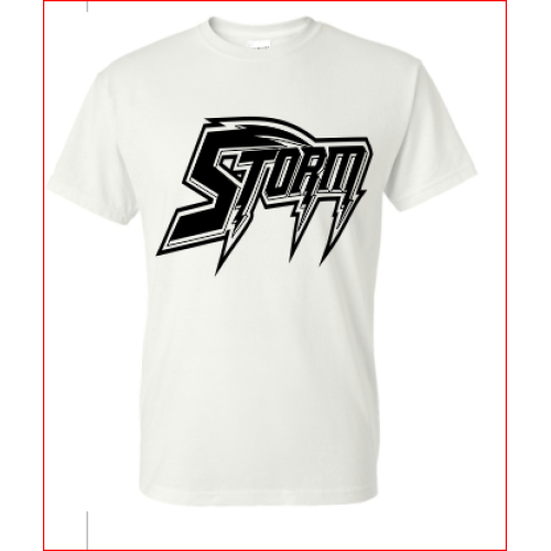 Storm Team List 2024 Dorie Johanna